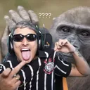 ribeiro.lz
