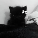 avatar ⋆｡°✩ 𓈒