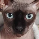 inkooze