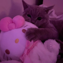 avatar 宇宙命运SUPP 娜美