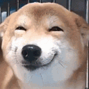 01_mev#6301's avatar