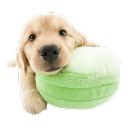 avatar ! 『⚜️』ʚ Beaux! ɞ