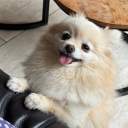 avatar 𝕽𝖚𝖇𝖎