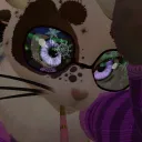 sugarpawsvr