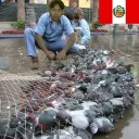 elmatapalomas_ avatar