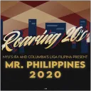 mrpi20206574