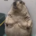 acidicreturns