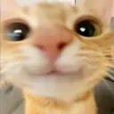 _kurkure