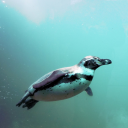 hiro_rx21220's Avatar