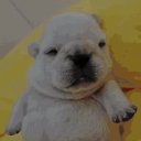 avatar Żysław Śliapenko 𓅭𓅓𓅱Пишишь