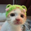 avatar 아롱