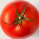 Avatar de Tomatoide48