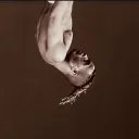 ninja.rid