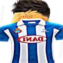 elsenyorpotato