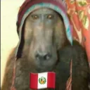 supercalistenio avatar