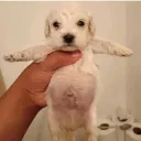 frostywhyy