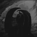 dim1337