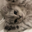 avatar natusia💗🌸