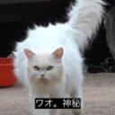 ベイカ