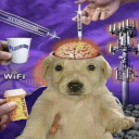 avatar 静的 Static