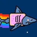 wowieshark