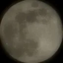 annbeautyqueen2