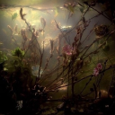 avatar 𓂃۶ৎ crazy moon