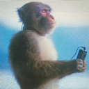 yes4458#5503's avatar