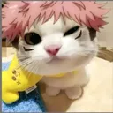 pyrox._.
