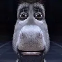 bxckdoored