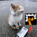 avatar TorrentPirat#4169