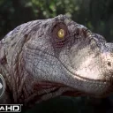 insertusernamehere0265 avatar