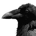 .z_raven