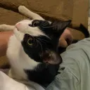 betterthanyou6853 avatar