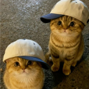 3c81880787d383461bbe4bd9ff633df4