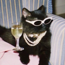 avatar ༓☽ 𝔻𝕖𝕝𝕦𝕤𝕚𝕠𝕟𝕒𝕟𝕘𝕖𝕝 ☾༓