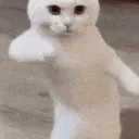 sunkenbalance
