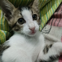 avatar !  jaani