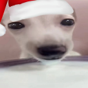 avatar 𝖘𝖚𝖆𝖛𝖆𝖜𝖆𝖛𝖆