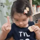 ndogover