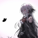 ElucidatorGared