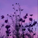 blve_bellflower