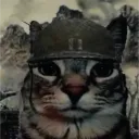 bobdislikesrob