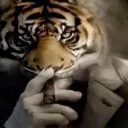 kqizel