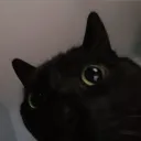 squizzyki