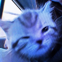 avatar ∘○˚ ⚞ albina ⚟ ˚○∘