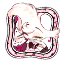 avatar ·̩͙꒰ঌ  Angel。 ✚˚ྀི̣̣̣