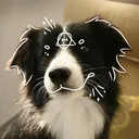 coffeethedog