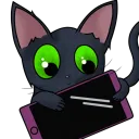 dermooo