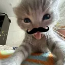 rlkdopastel.gg